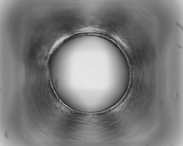 X0000094441358200711081016