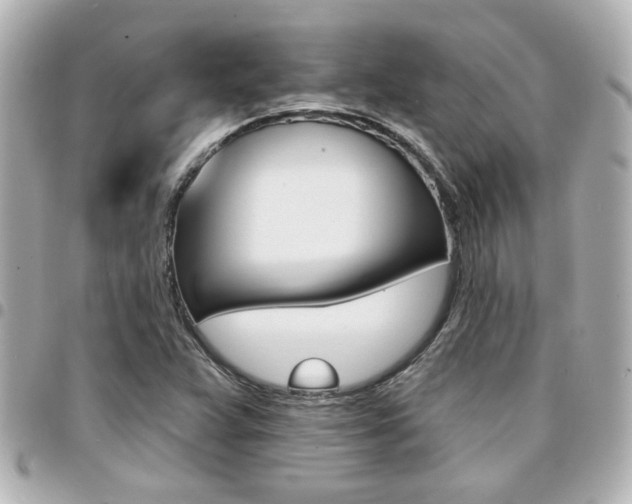 X0000094441359200711081016