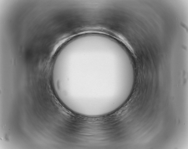 X0000094441360200711081016
