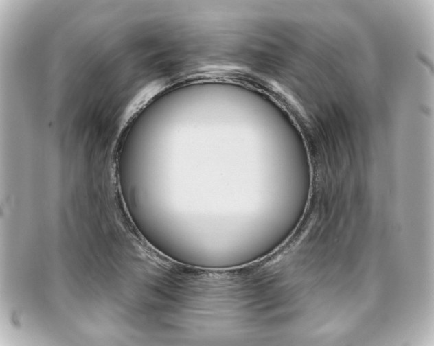 X0000094441362200711081016