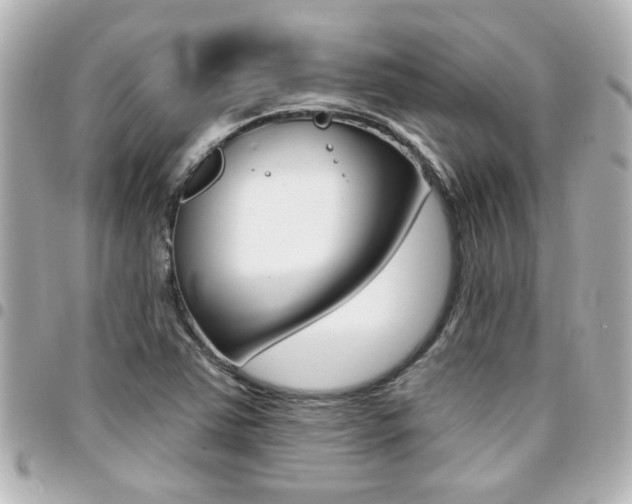X0000094441363200711081016