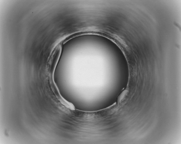 X0000094441364200711081016