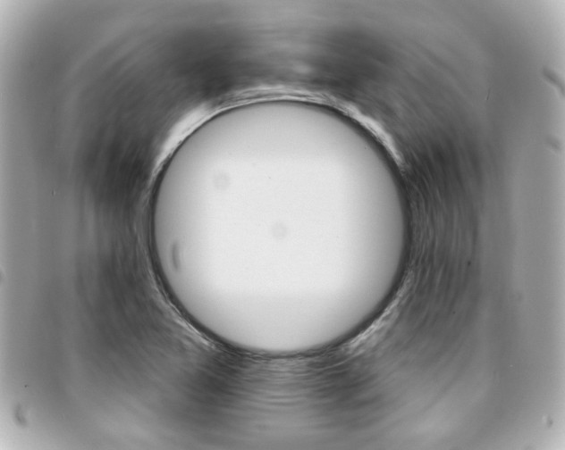 X0000094441365200711081016