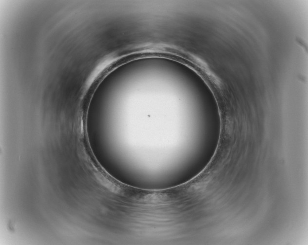 X0000094441368200711081016