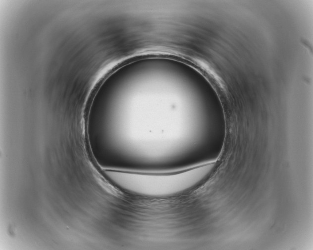 X0000094441372200711081016