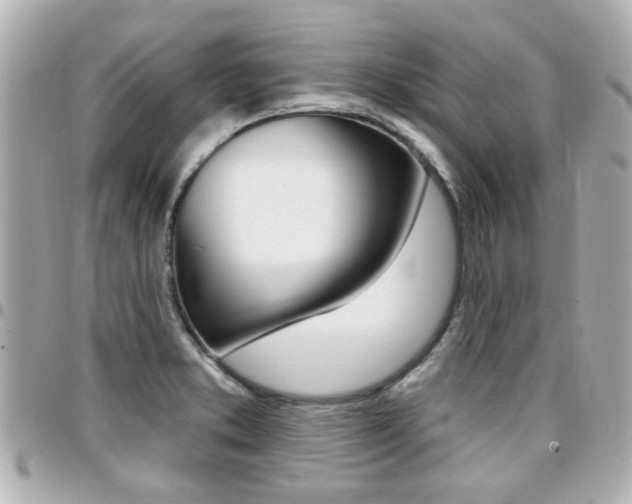 X0000094441373200711081016