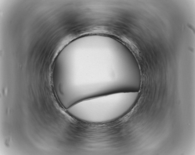 X0000094441374200711081016