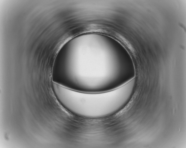 X0000094441377200711081016