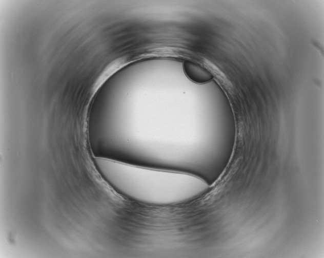 X0000094441378200711081016