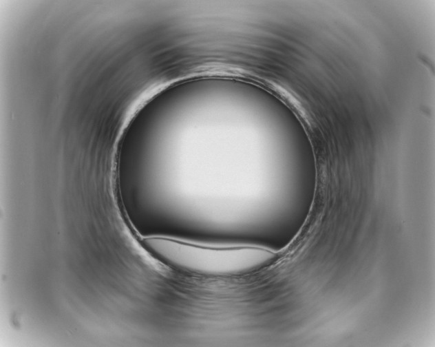 X0000094441379200711081016