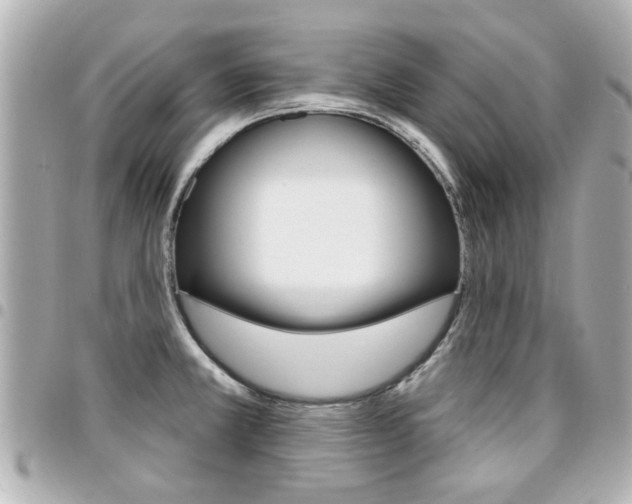 X0000094441381200711081016