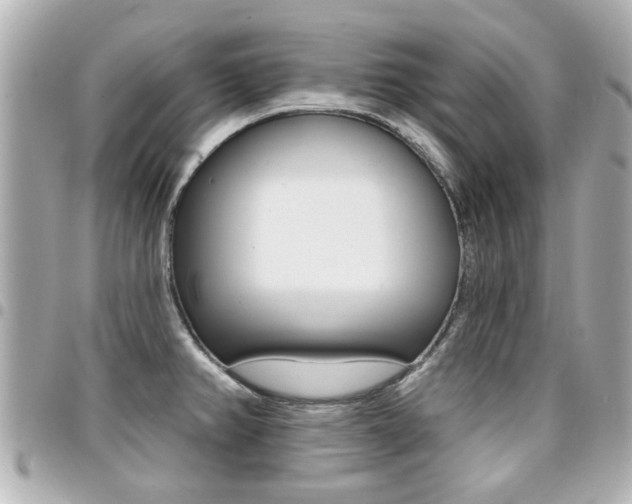 X0000094441382200711081016