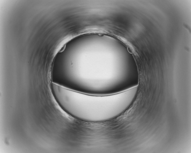 X0000094441383200711081016