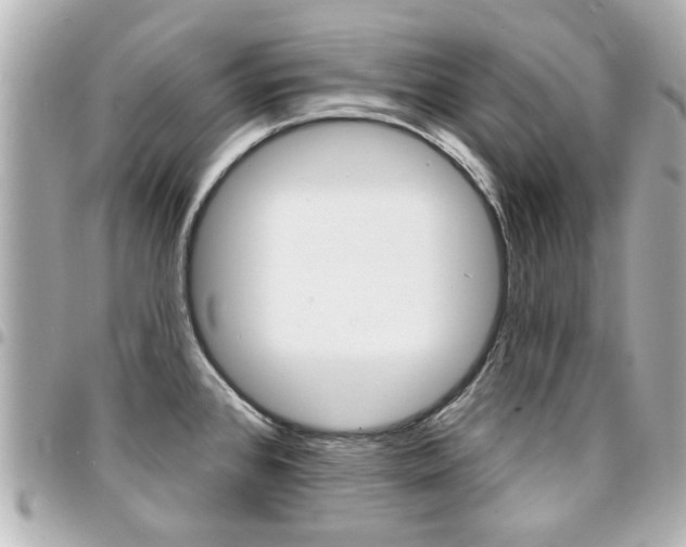 X0000094441384200711081016