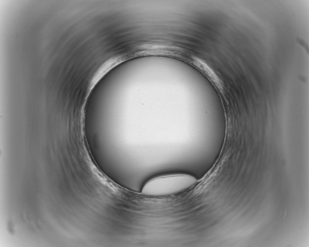 X0000094441386200711081016