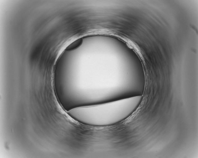 X0000094441390200711081016