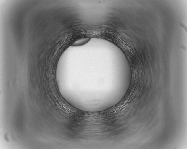 X0000094441393200711081015