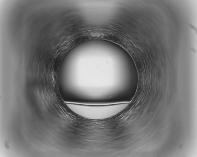 X0000094441394200711081015