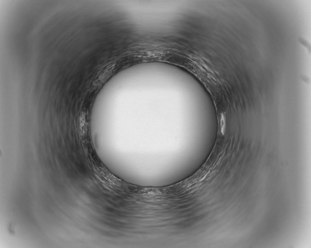 X0000094441395200711081015