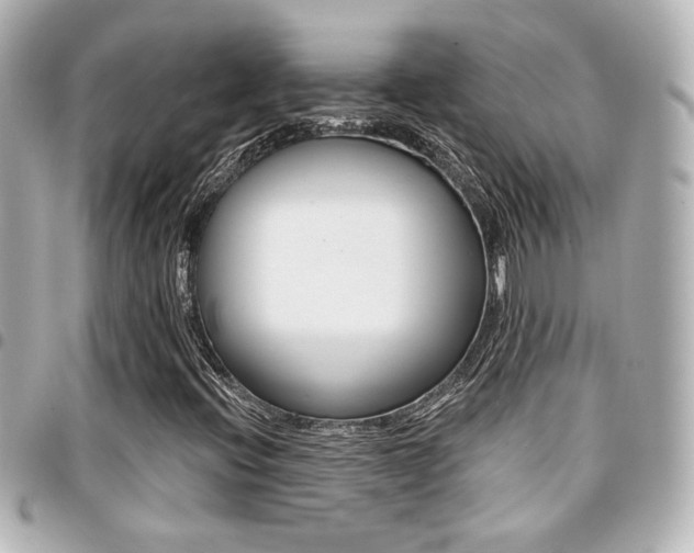 X0000094441396200711081015