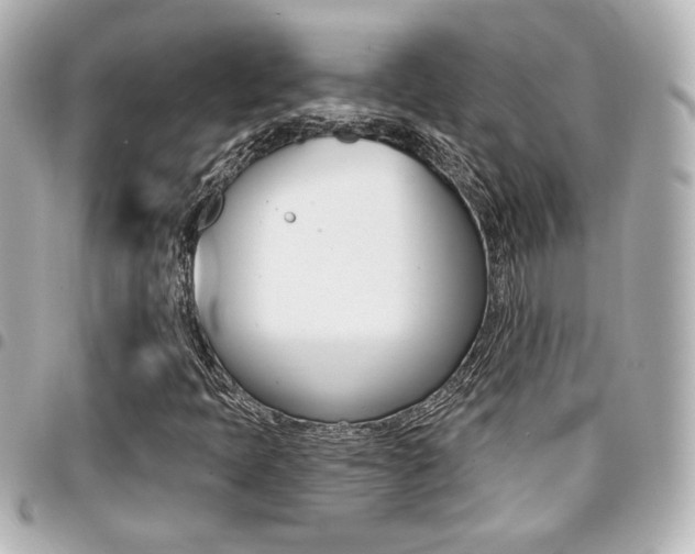 X0000094441397200711081015