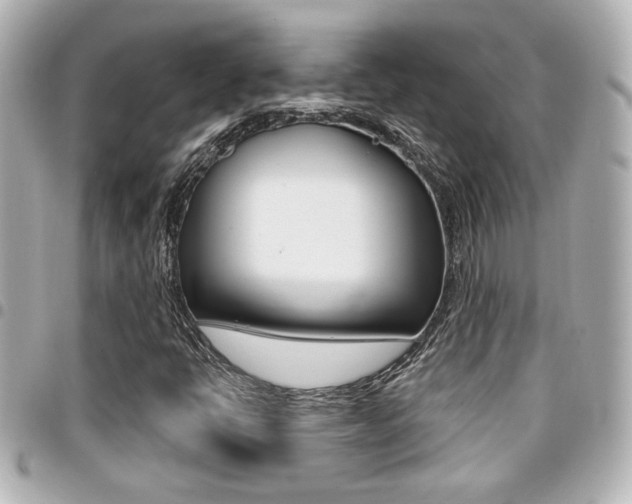 X0000094441398200711081015