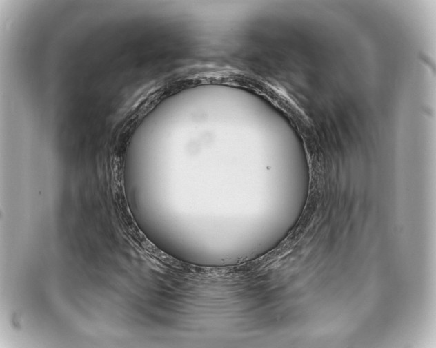 X0000094441399200711081015