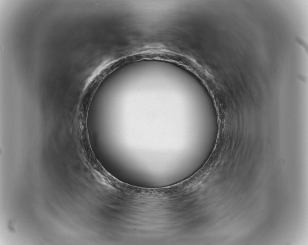 X0000094441400200711081015