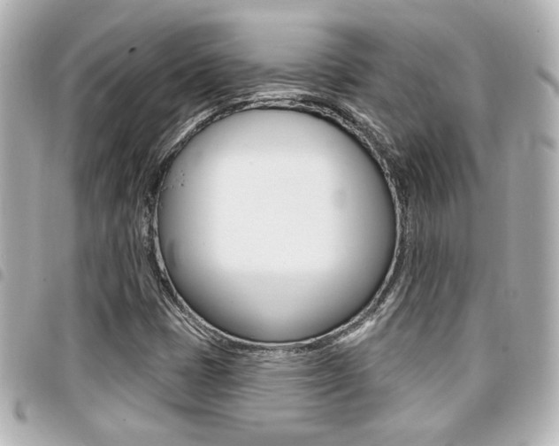 X0000094441401200711081015