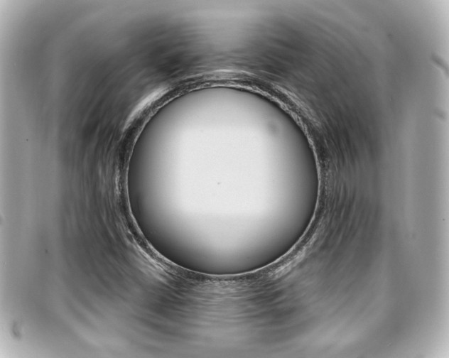 X0000094441402200711081015