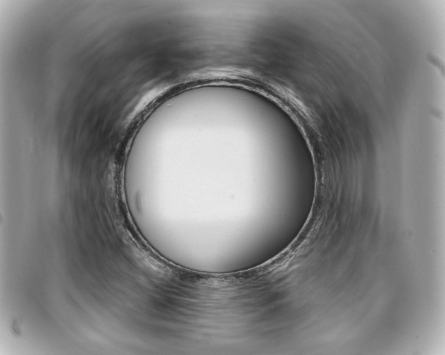 X0000094441404200711081015