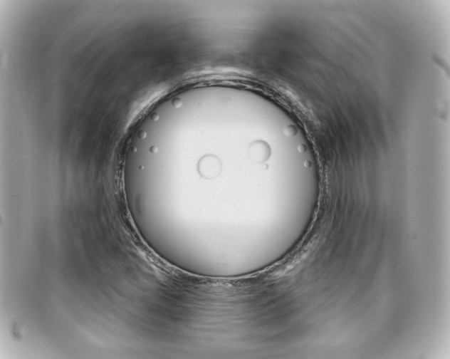 X0000094441405200711081015