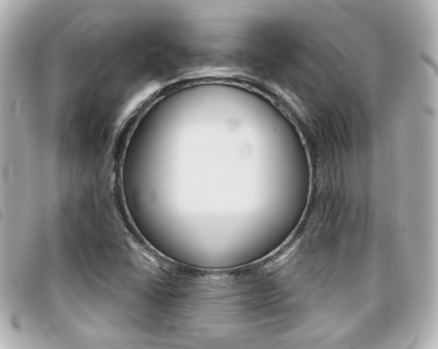 X0000094441406200711081015