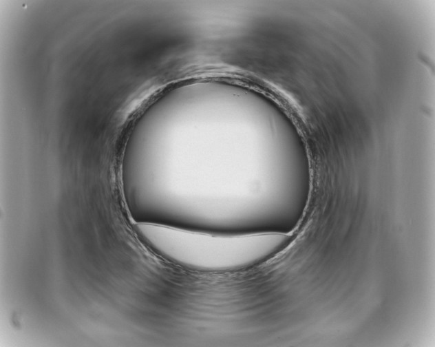 X0000094441407200711081015