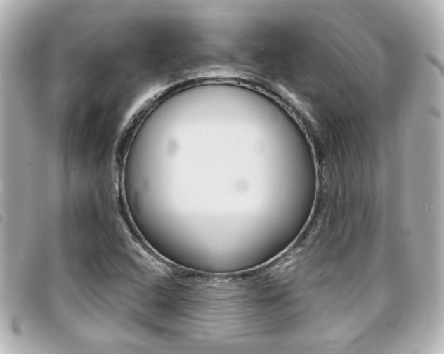 X0000094441408200711081015