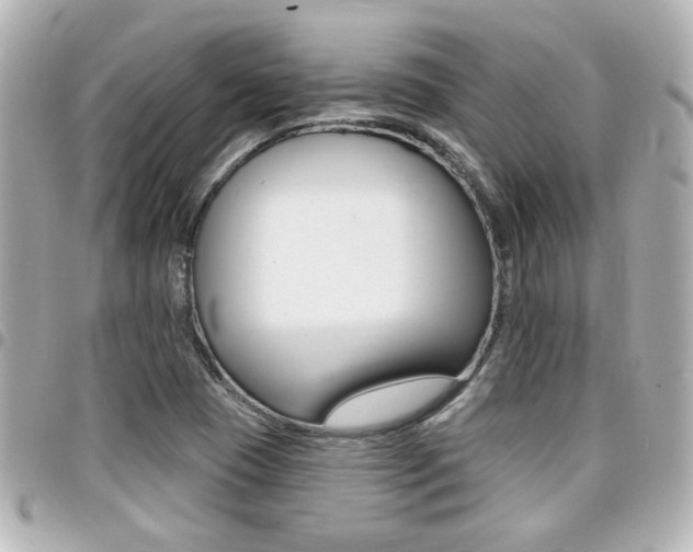 X0000094441409200711081015