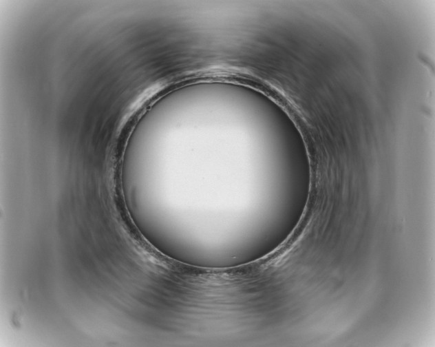 X0000094441410200711081016