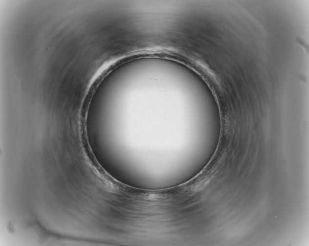 X0000094441412200711081016