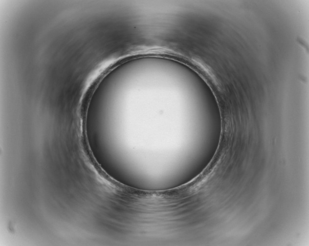X0000094441414200711081016