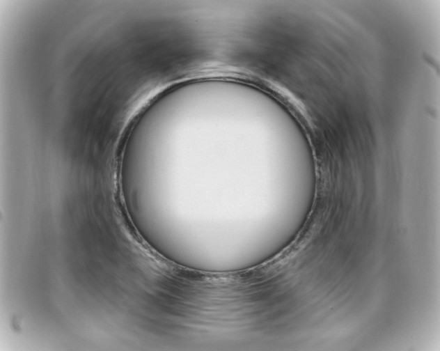 X0000094441415200711081016