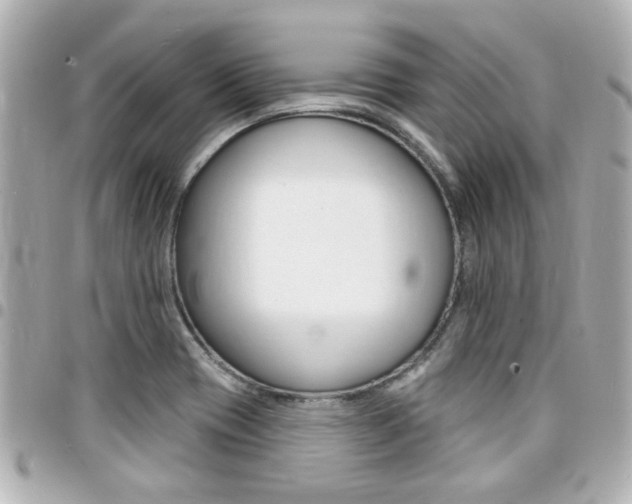 X0000094441417200711081016