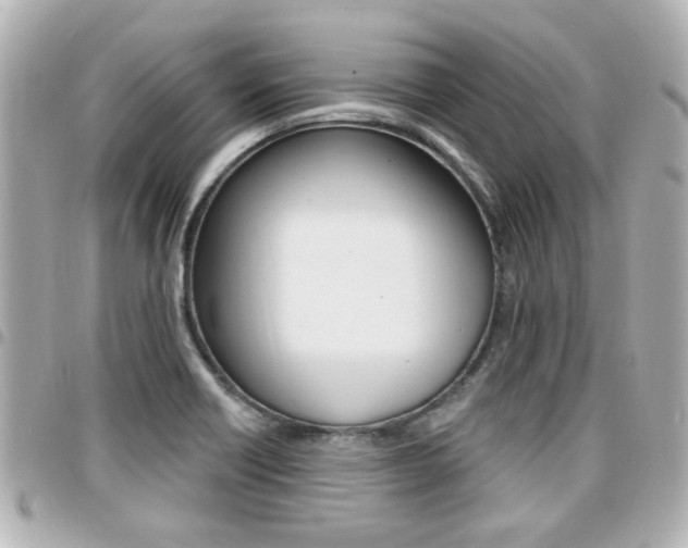 X0000094441418200711081016