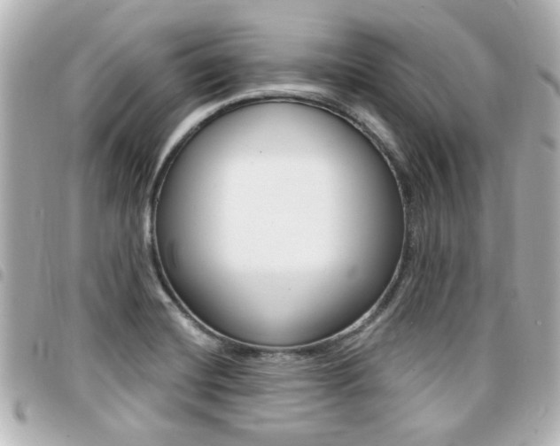 X0000094441420200711081016