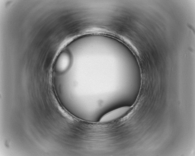 X0000094441421200711081016