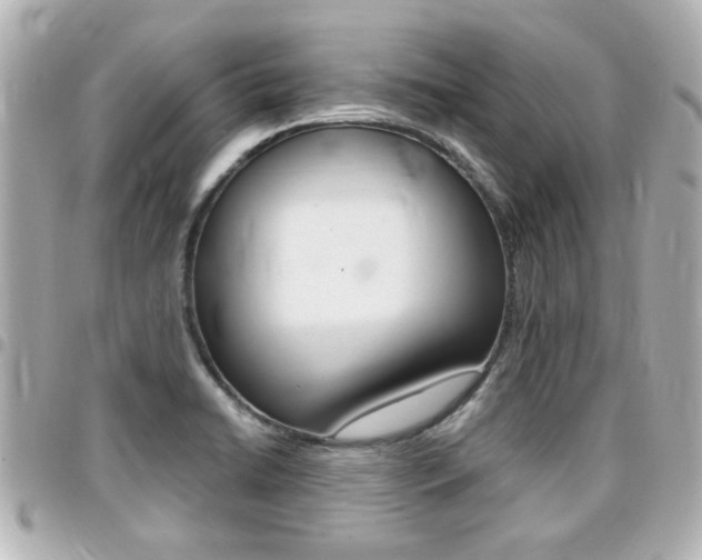 X0000094441422200711081016