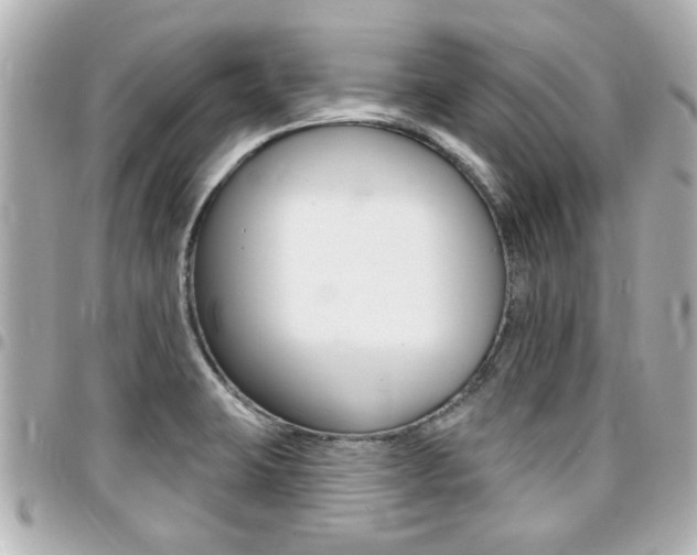 X0000094441423200711081016