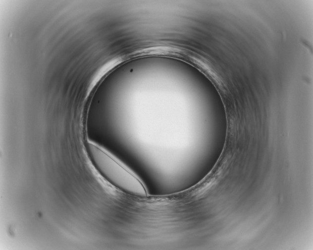 X0000094441426200711081016