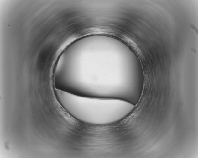 X0000094441427200711081016