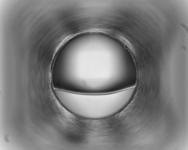 X0000094441428200711081016