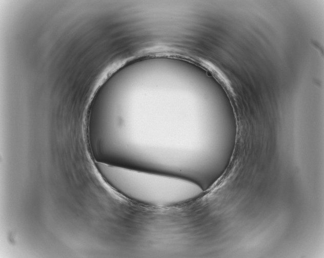X0000094441429200711081016